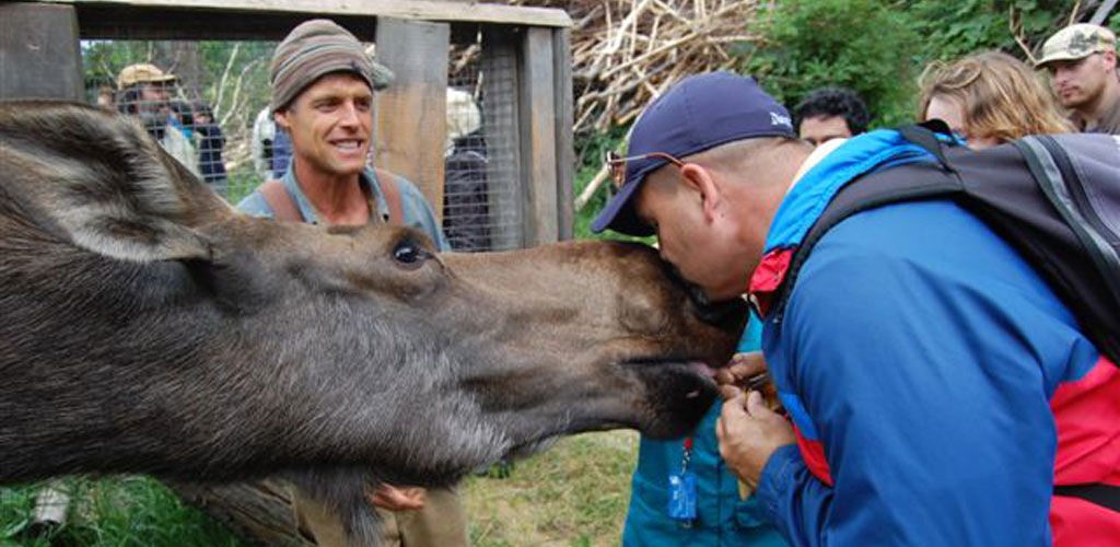 Kiss a Moose